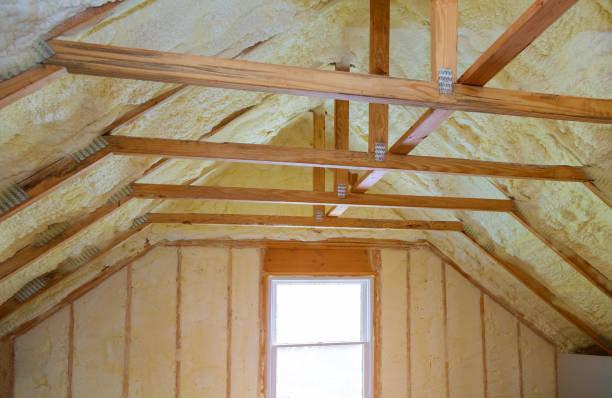 Best Crawl Space Insulation  in Coshocton, OH