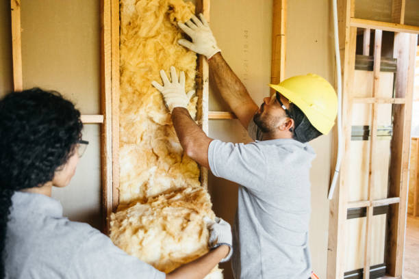 Best Insulation for New Construction  in Coshocton, OH