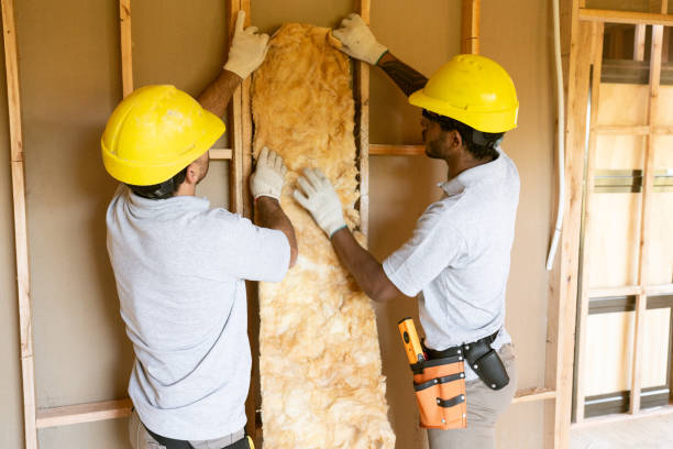 Best Insulation Inspection Services  in Coshocton, OH